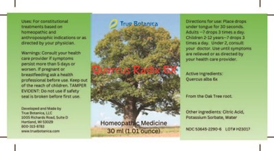 Quercus Radix 6x (Quercus Radix 6x V1 8 28 2023)